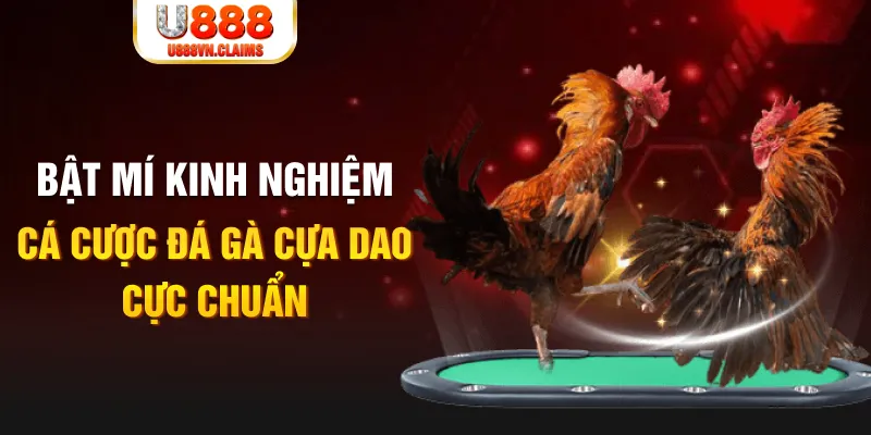 mcw casio tỷ lệ cá cược châu á là gì