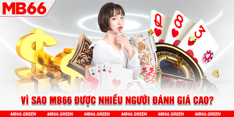 mcw casio đá gà