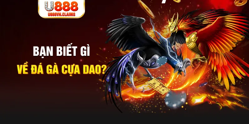 mcw casio nổ hủ là gì