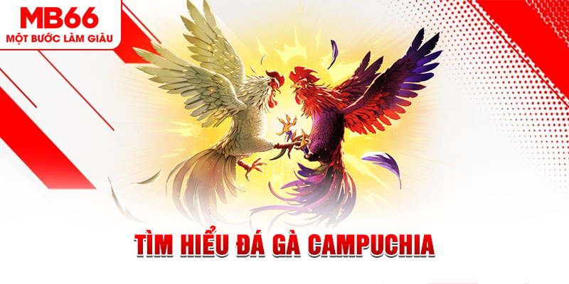 mcw casio game đánh bài trên máy tính