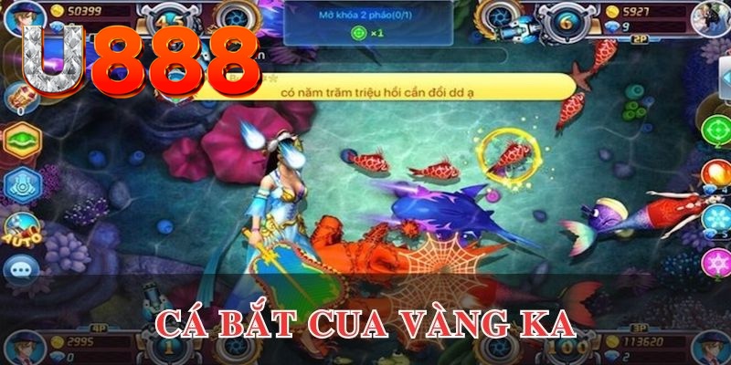 mcw casio kết quả xổ số hôm nay