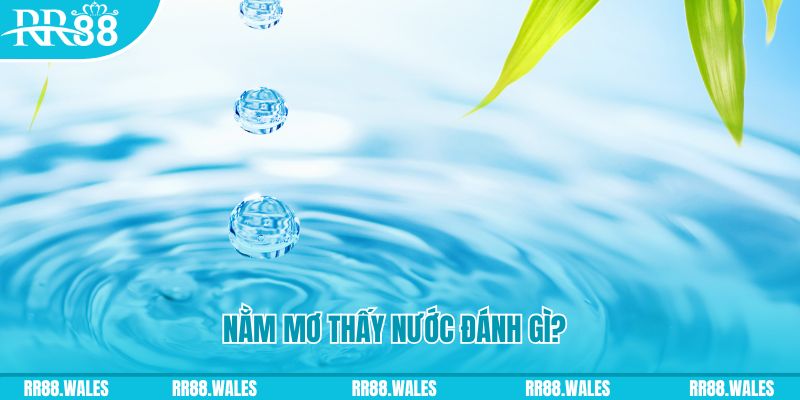 mcw casio TP Bắn cá