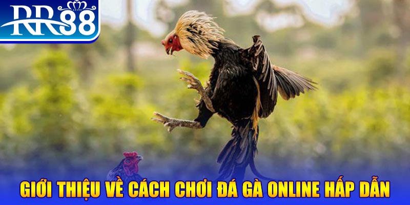 mcw casio game nổ hũ rút tiền mặt là gì