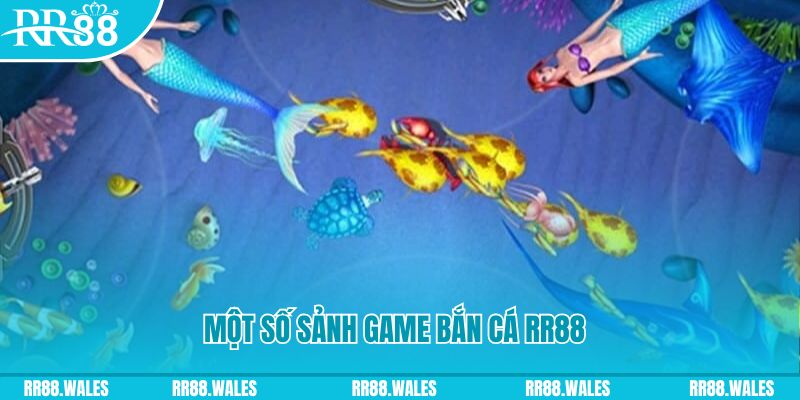 mcw casio đăng nhập mậu binh uy tín