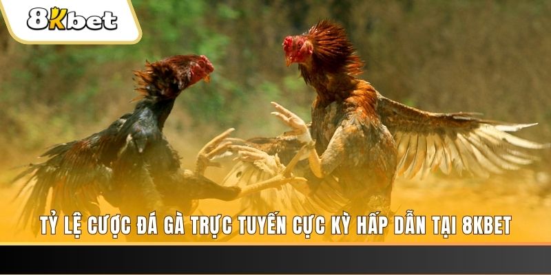 mcw casio xổ số trực tiếp miền bắc