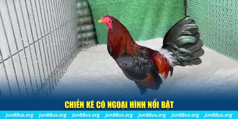 mcw casio chạy quảng cáo cho game bài bị phạt như thế nào