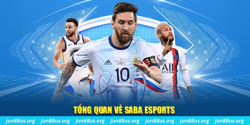 mcw casio EvoPlay Điện Tử